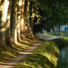 Top 10 des visites à Toulouse