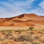 desert of namib with orange dunes