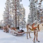 séjour unique en Finlande