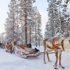 Préparer un séjour unique en Finlande