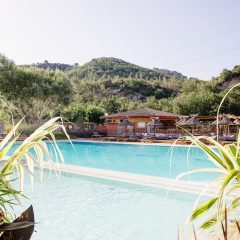 Organiser des vacances inoubliables en Provence