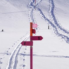 Chamrousse: un voyage en raquettes