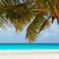 Pourquoi choisir les Caraïbes pour votre voyage de noces