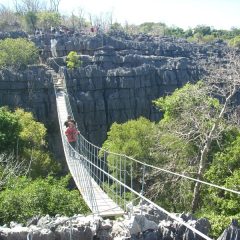 Que choisir pour mieux explorer la nature à Madagascar : la promenade, la randonnée ou le trekking ?