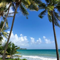 Des vacances hors du commun pour découvrir la Martinique autrement