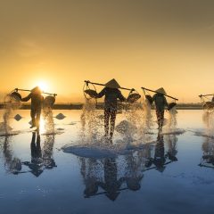 Les bonnes raisons de visiter le Vietnam lors de son prochain voyage