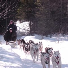 Conseils pour passer des vacances d’hiver mémorables au Canada