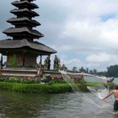 Safari Bali, un séjour adapté aux plongeurs et non plongeurs.