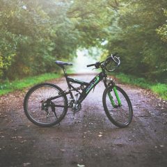 Faire à vélo les belles voies vertes de la Somme