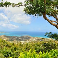 Location de voiture en Martinique