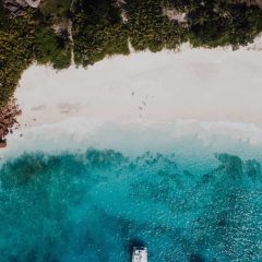 Découvrir les Seychelles en croisière Catamaran