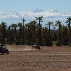 De la Palmeraie à Lalla takerkoust, découvrez les régions de Marrakech autrement…