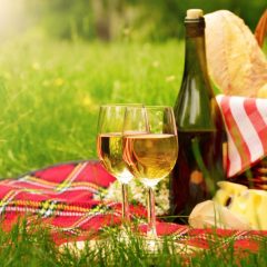 Les équipements à emporter pour agrémenter vos pique-niques et campings en nature