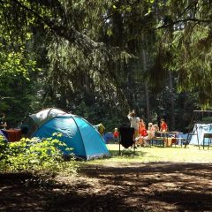 Visiter Brissac Quincé et les châteaux de la Loire : 5 raisons de se loger dans un camping