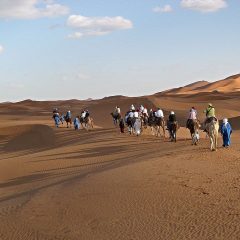 Les Meilleures Visites, Expériences et Excursions à Marrakech