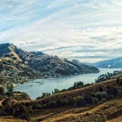 5 idées de souvenirs originaux à ramener d’un voyage en Nouvelle-Zélande