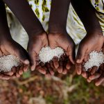 Group of African Black Children Holding Rice Malnutrition Starva